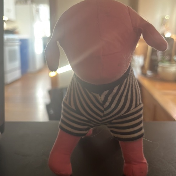 VS DOG 🐶 - Picture 3 of 3